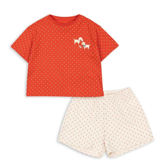 Cotton Dot Print T-Shirt & Shorts Set With Puppy Embroidery