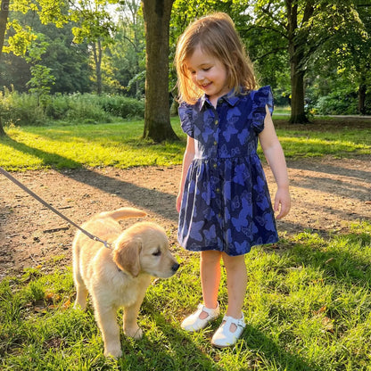 Navy Blue Butterfly Print Button Front Dress